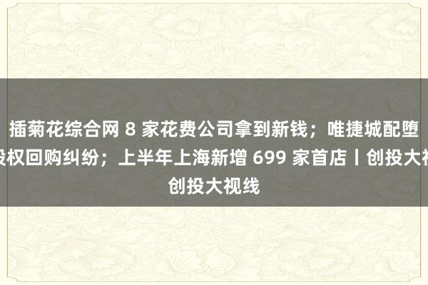 插菊花综合网 8 家花费公司拿到新钱；唯捷城配堕入股权回购纠纷；上半年上海新增 699 家首店丨创投大视线