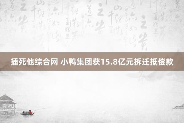 插死他综合网 小鸭集团获15.8亿元拆迁抵偿款