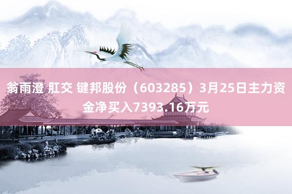 翁雨澄 肛交 键邦股份（603285）3月25日主力资金净买入7393.16万元