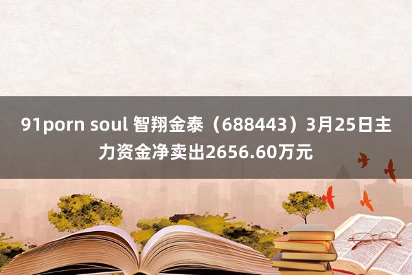 91porn soul 智翔金泰（688443）3月25日主力资金净卖出2656.60万元