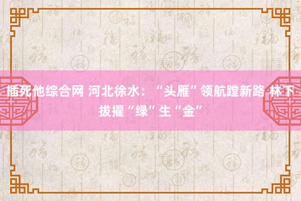 插死他综合网 河北徐水：“头雁”领航蹚新路 林下拔擢“绿”生“金”