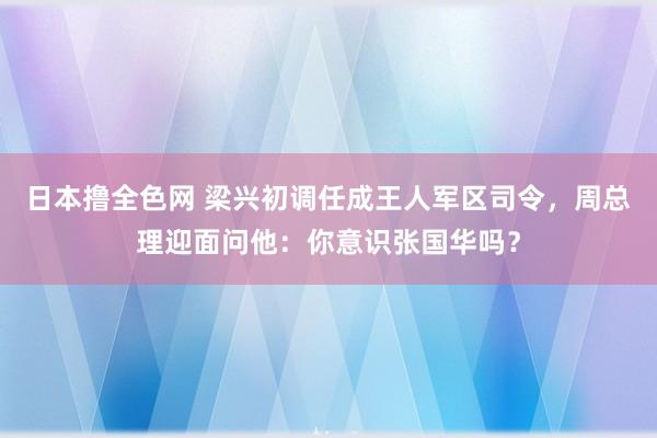 日本撸全色网 梁兴初调任成王人军区司令，周总理迎面问他：你意识张国华吗？