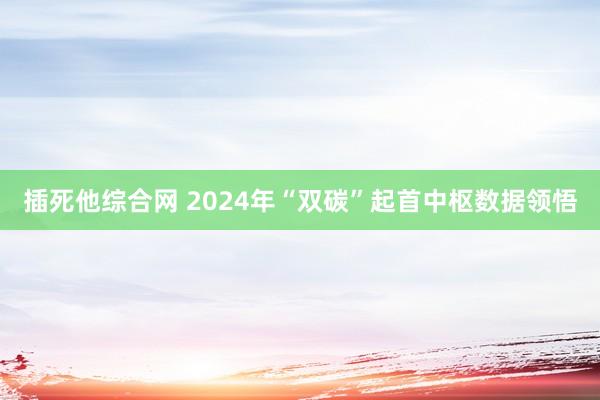 插死他综合网 2024年“双碳”起首中枢数据领悟