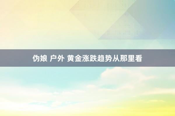 伪娘 户外 黄金涨跌趋势从那里看