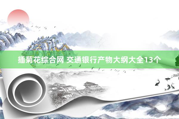 插菊花综合网 交通银行产物大纲大全13个