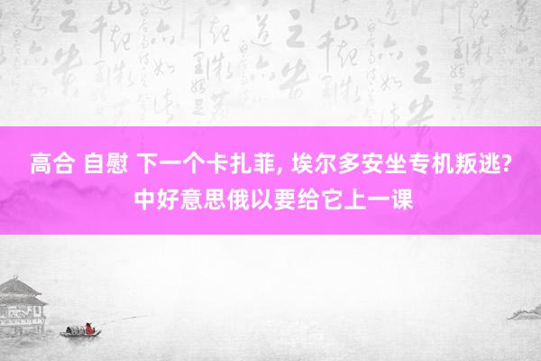 高合 自慰 下一个卡扎菲, 埃尔多安坐专机叛逃? 中好意思俄以要给它上一课