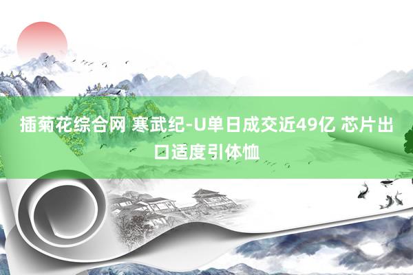 插菊花综合网 寒武纪-U单日成交近49亿 芯片出口适度引体恤