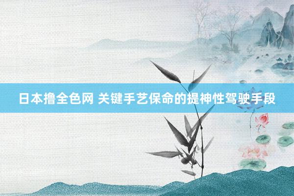 日本撸全色网 关键手艺保命的提神性驾驶手段