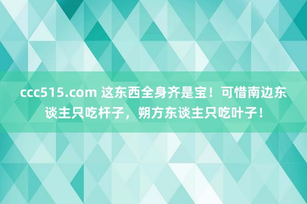 ccc515.com 这东西全身齐是宝！可惜南边东谈主只吃杆子，朔方东谈主只吃叶子！